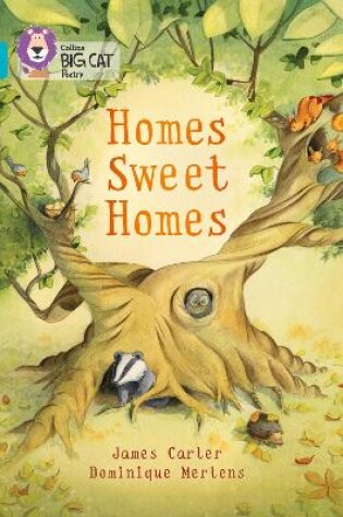 Cover of Homes Sweet Homes