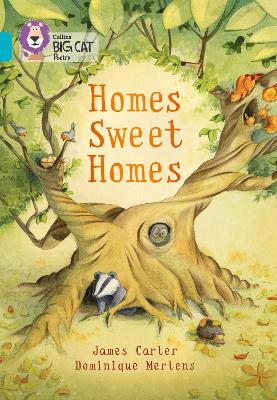 Book cover for Homes Sweet Homes