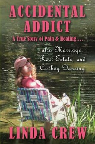 Cover of Accidental Addict