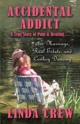 Book cover for Accidental Addict