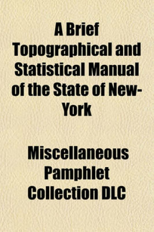 Cover of A Brief Topographical and Statistical Manual of the State of New-York