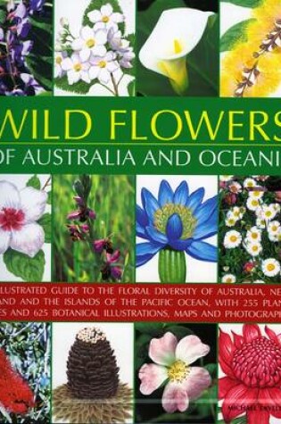 Cover of Wild Flowers of Australia and Oceania