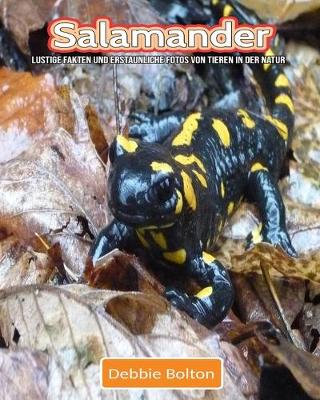 Book cover for Salamander