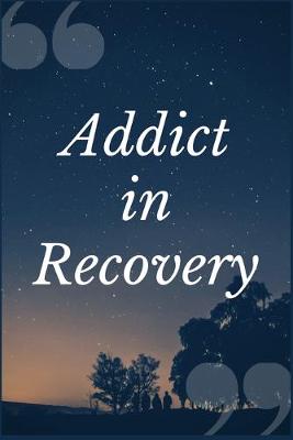 Cover of Addict in Recovery