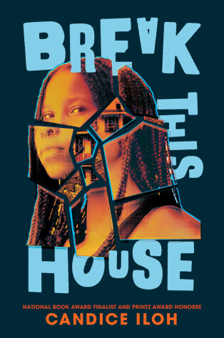 Book cover for Break This House