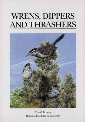 Book cover for Wrens, Dippers and Thrashers