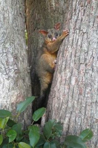 Cover of Hello Brown Possum In a Tree Wildlife Journal