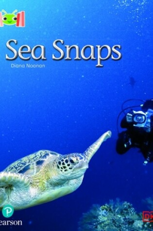 Cover of Bug Club Reading Corner: Age 5-7: Sea Snaps