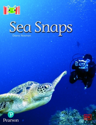 Book cover for Bug Club Reading Corner: Age 5-7: Sea Snaps