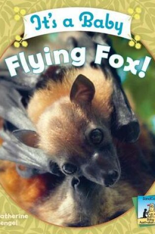 Cover of It's a Baby Flying Fox!