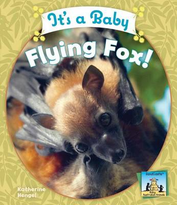Cover of It's a Baby Flying Fox!