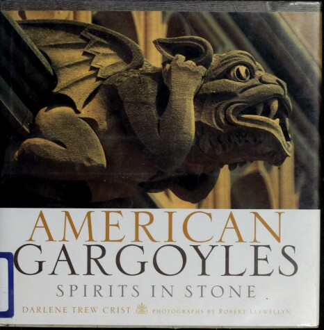 Book cover for American Gargoyles