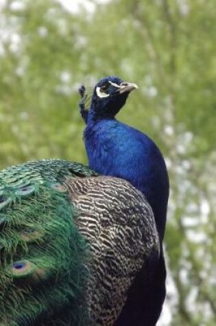 Cover of Male Peacock Standing Tall Journal