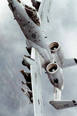 Book cover for A-10 Thunderbolt II from the 81st Fighter Squadron Us Airforce