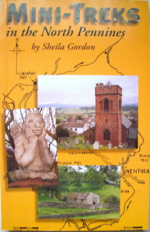 Book cover for Mini Treks in the North Pennines