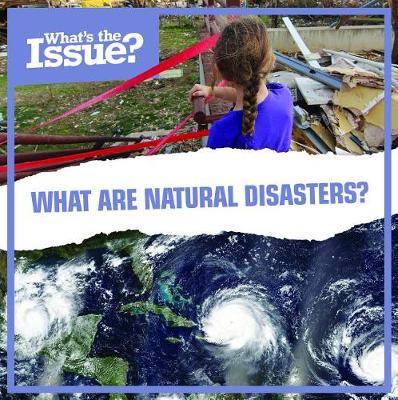 Book cover for What Are Natural Disasters?