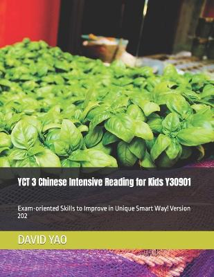 Book cover for YCT 3 Chinese Intensive Reading for Kids Y30901
