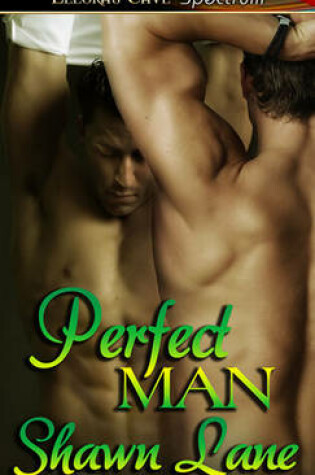 Cover of Perfect Man