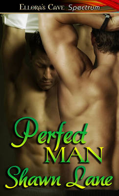 Book cover for Perfect Man