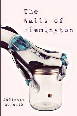 Book cover for The Walls of Flemington