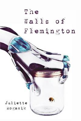 Book cover for The Walls of Flemington