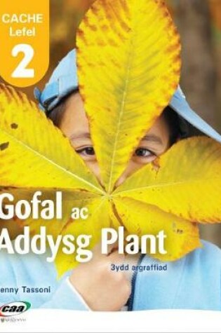 Cover of Cache Lefel 2 - Gofal ac Addysg Plant (CD-ROM)