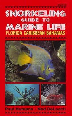 Book cover for Snorkeling Guide to Marine Life