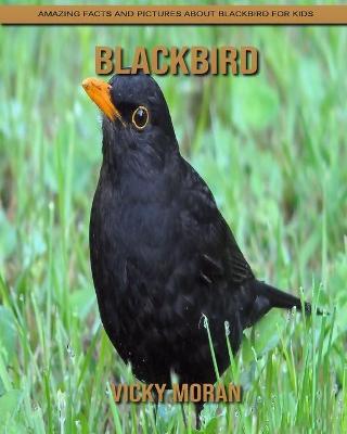 Book cover for Blackbird