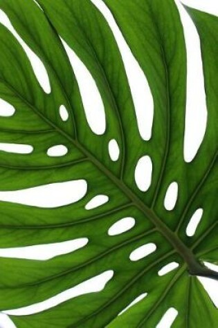 Cover of Close-Up of a Leaf of a Monstera Deliciosa Plant Journal