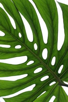 Book cover for Close-Up of a Leaf of a Monstera Deliciosa Plant Journal