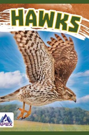 Cover of Hawks