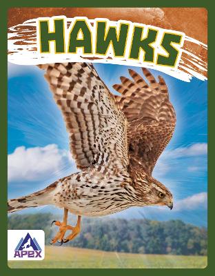 Book cover for Hawks