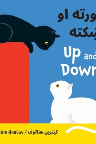 Cover of Up and Down (Pashto/English)