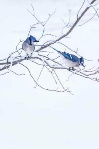 Cover of Blue Jays Bird Watching Journal To Write In Notes