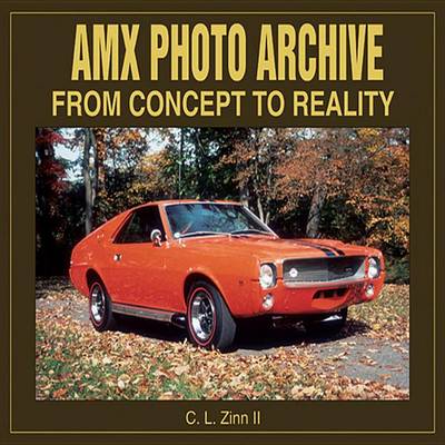 Book cover for AMX