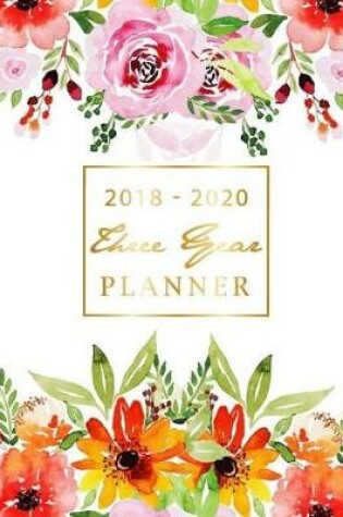 Cover of 2018 - 2020 Three Year Planner