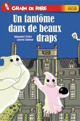 Cover of Un Fantome Dans de Beaux Draps