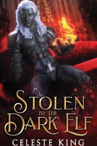 Cover of Stolen By The Dark Elf