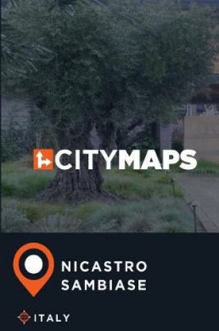 Cover of City Maps Nicastro-Sambiase Italy