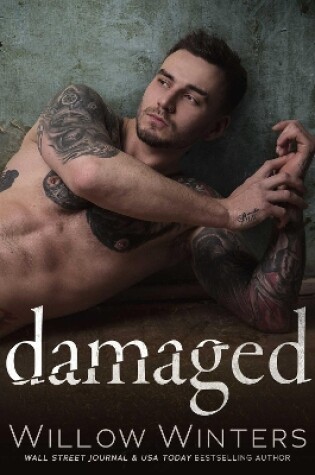 Cover of Damaged