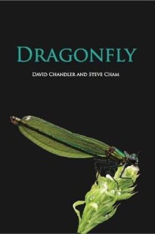 Cover of Dragonfly