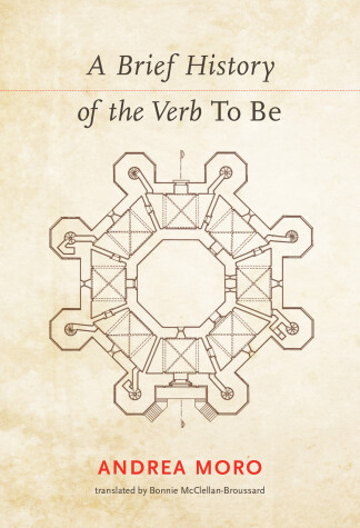 Book cover for A Brief History of the Verb To Be