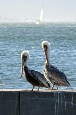 Cover of Resting Pair of Brown Pelicans, Birds of the World