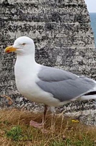 Cover of Seagull on the Cliffs of Normandy, France Journal