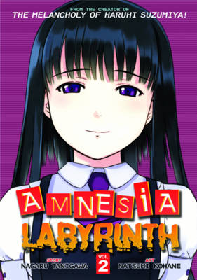 Book cover for Amnesia Labyrinth