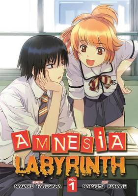 Book cover for Amnesia Labyrinth