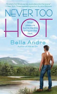 Book cover for Never Too Hot