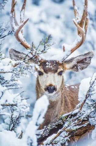 Cover of Arizona Mule Deer Journal