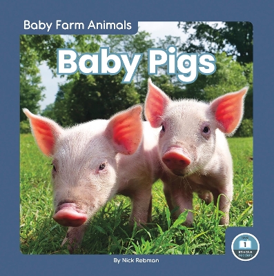 Book cover for Baby Pigs