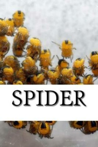 Cover of Spider